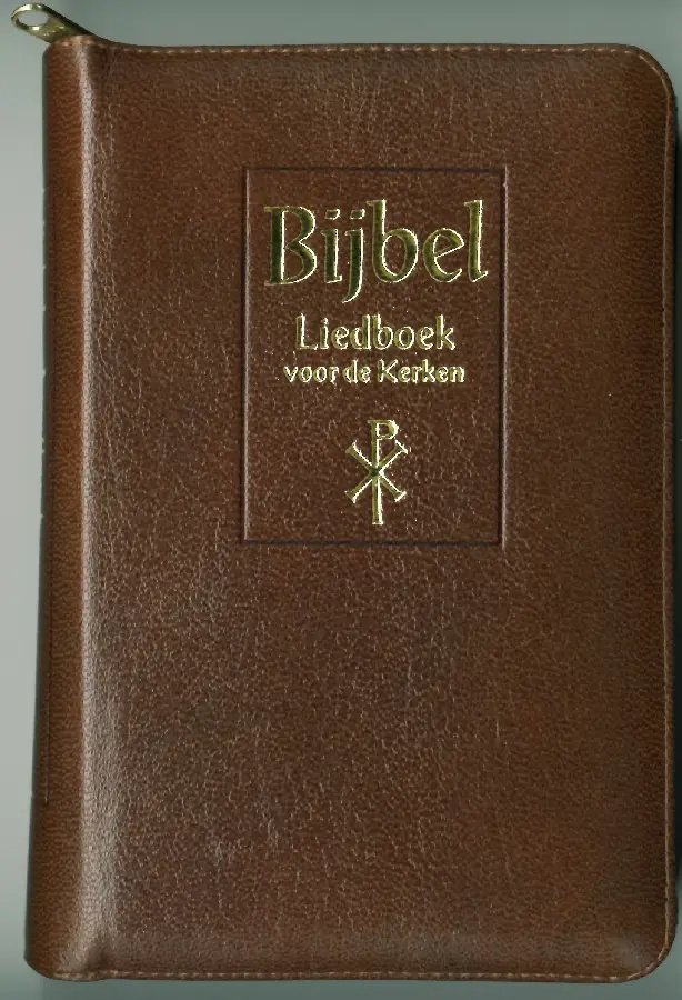 BIJBEL NBG MED 123812+LIEDBOEK BR LR GS