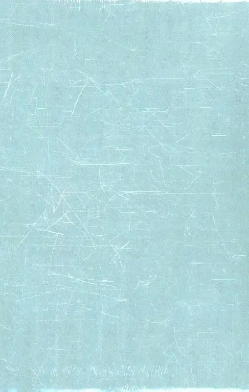 Huisbijbel 1318 nv grijs