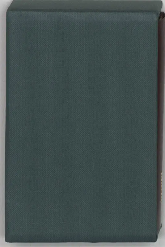 Lilliputbijbel 2129 nv brown