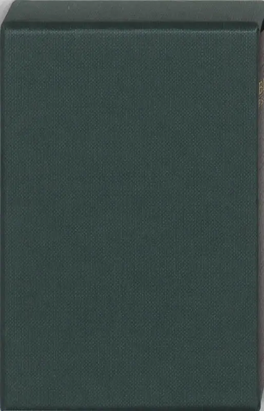 Lilliputbijbel 3829 sv brown