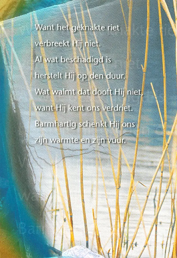 Wk opw geknakte riet