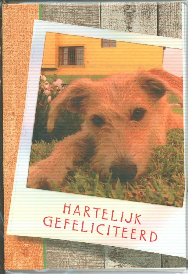 Wenskaart gefeliciteerd hond