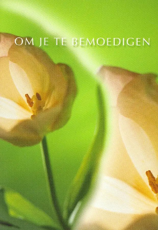 Wk bemoed zt om je te bemoedigen