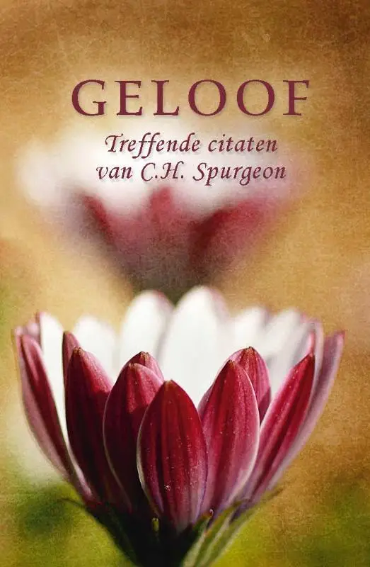 Pareltje geloof
