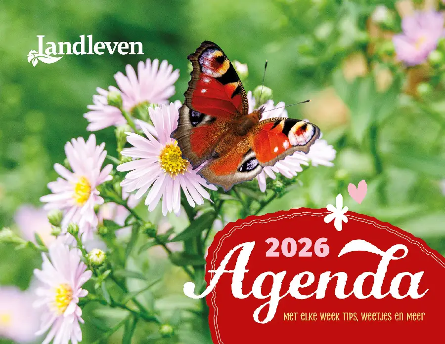 Landleven agenda 2025